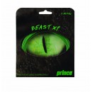 PRINCE Beast Xp 12m